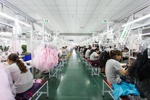 坚持科技创新，引领会员企业高质量发展取得新成果——聚焦科技技术开发